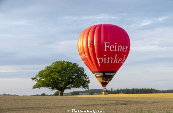 Feiner pinkeln (Dosenbek – Sophienhof 300721)