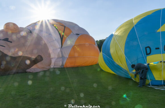 Anton und Lollipop (Norder – Sophienhof 110821)